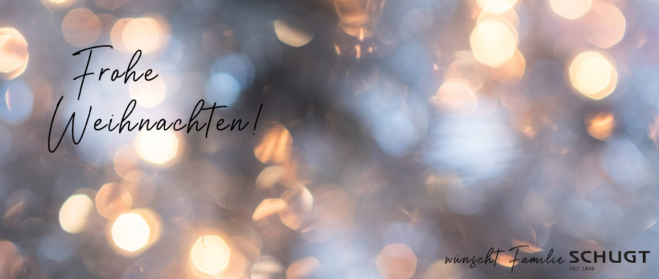 Website Header Weihnachten 2024